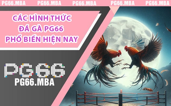 Các Hình Thức Đá Gà PG66 Phổ Biến Hiện Nay