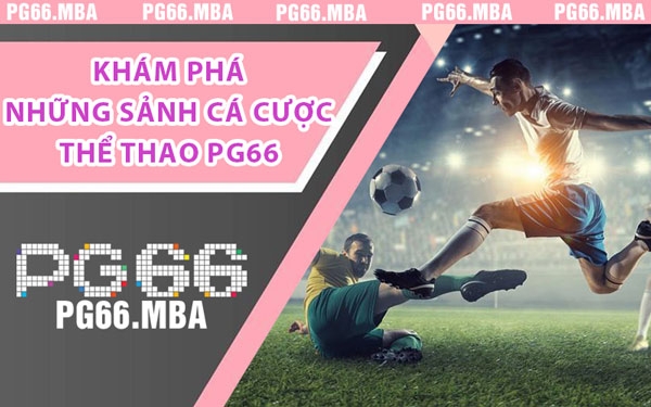Khám Phá Những Sảnh Cá Cược Thể Thao PG66