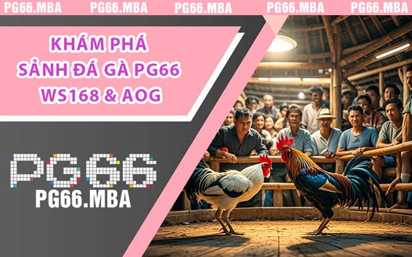 Khám Phá Sảnh Đá Gà PG66 WS168 & AOG