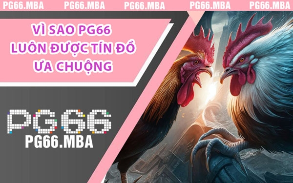 Vì Sao PG66 Luôn Được Tín Đồ Ưa Chuộng
